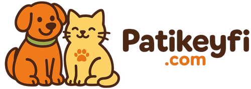 Patikeyfi.com