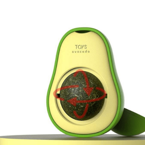 Catnip Kedi Çimi Topu Oyuncağı